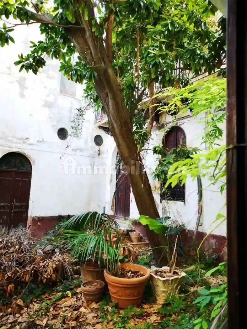 Palazzo - Edificio - foto 3