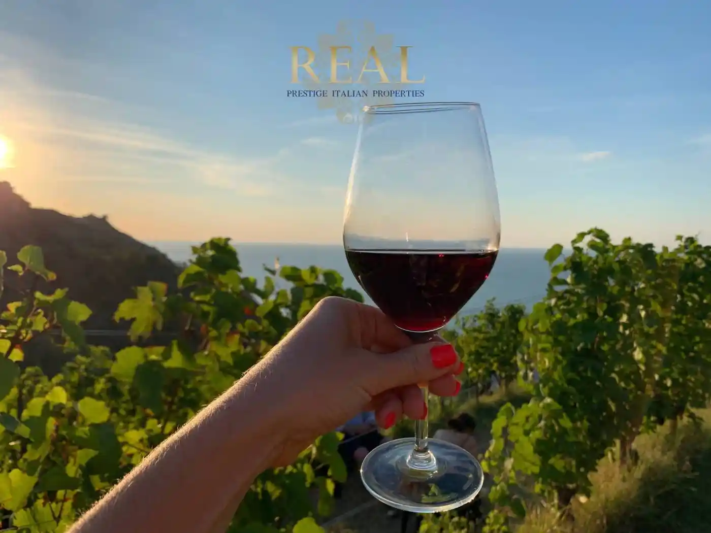 Rustico - Casale in vendita a Greve in Chianti