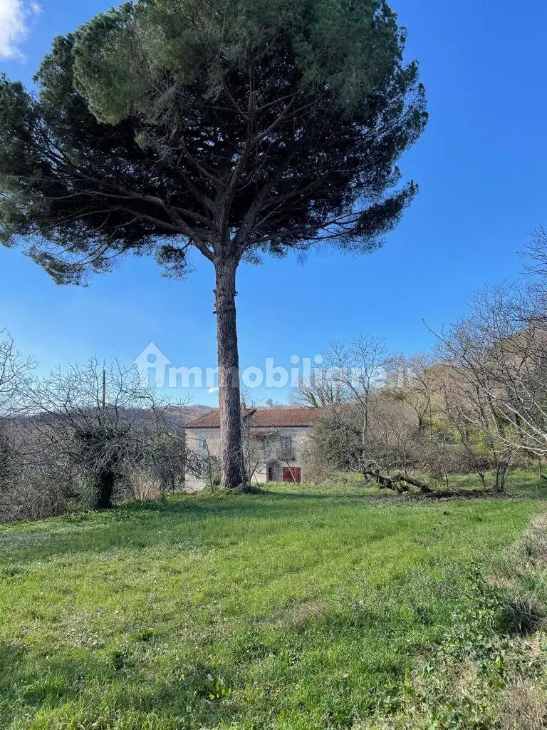 Terratetto unifamiliare via Leopoldo Nobili 19, Caianello - foto 5