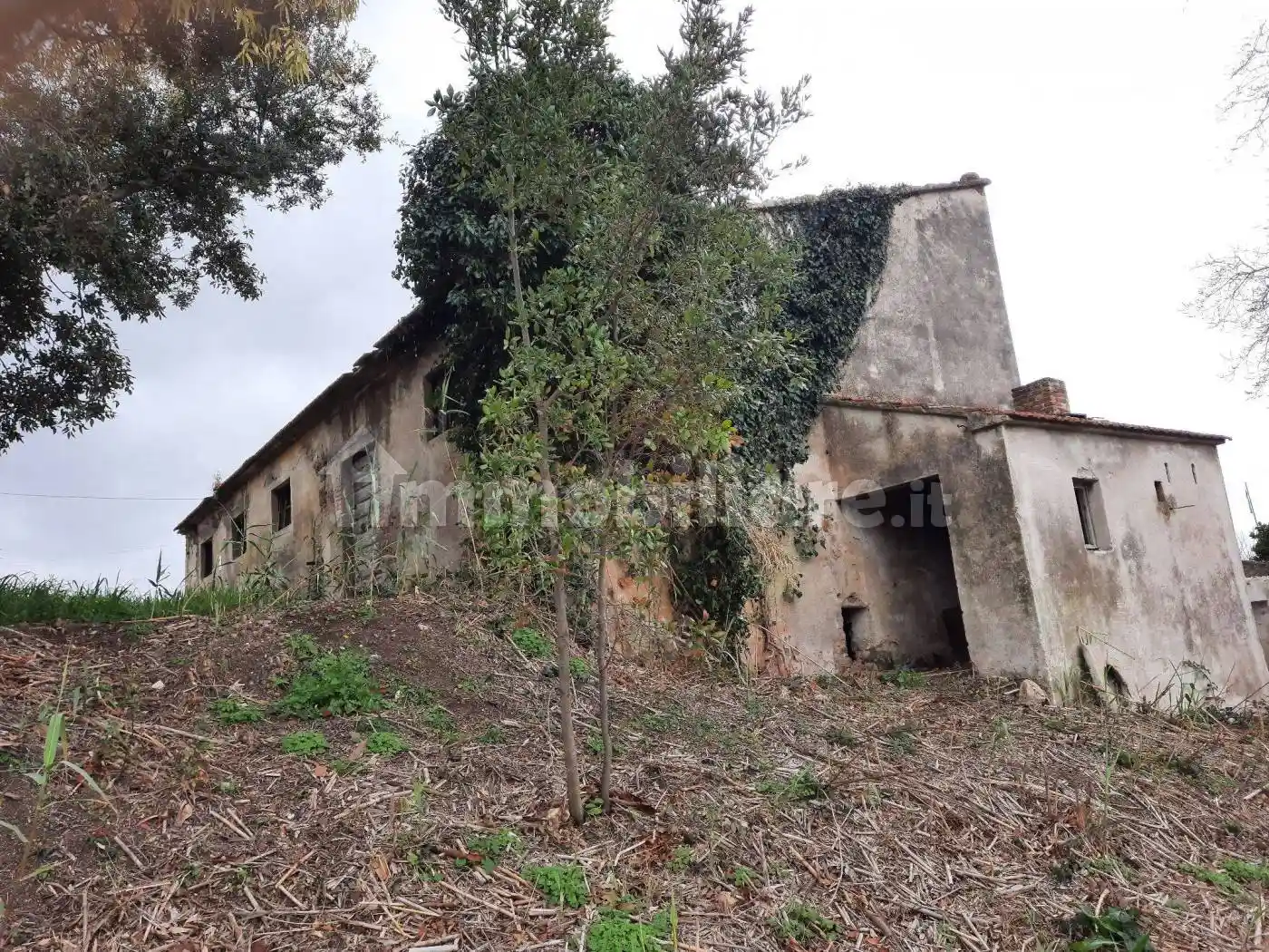 Palazzo - Edificio in vendita a Rosignano Marittimo