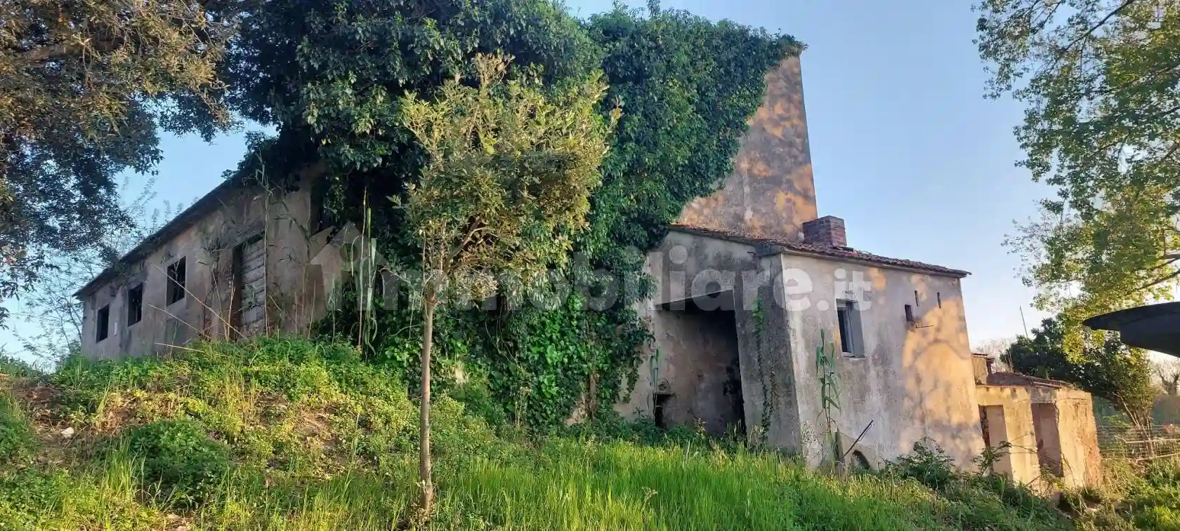 Palazzo - Edificio - foto 2