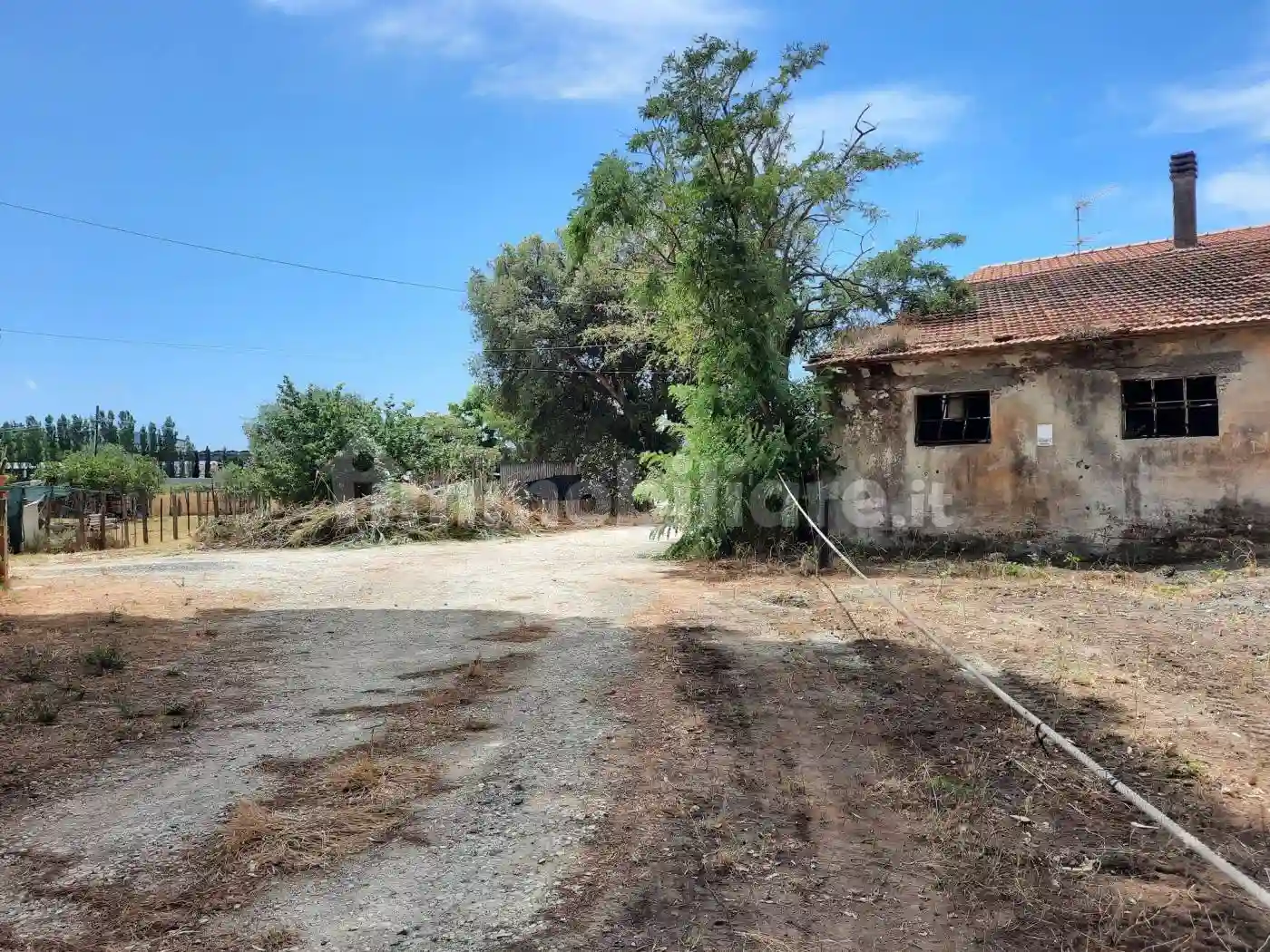 Palazzo - Edificio - foto 4