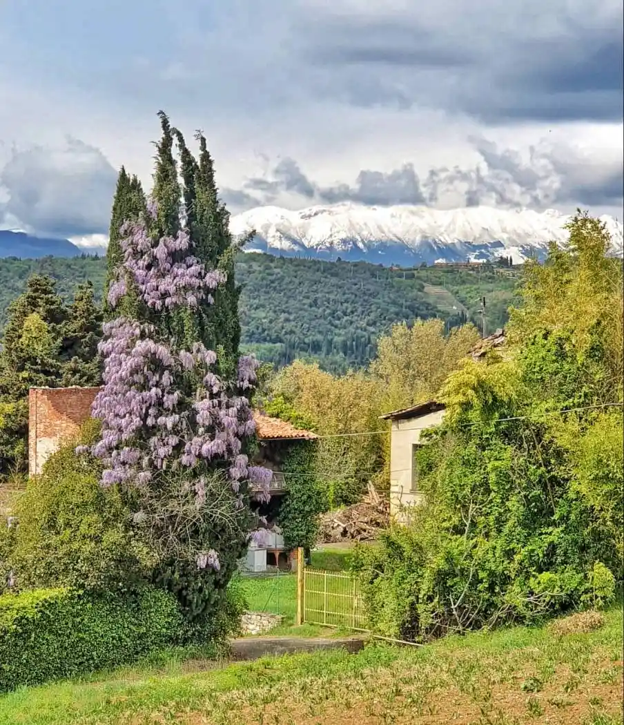 Terratetto plurifamiliare viale dei Colli 49, Torricelle, Verona - foto 5