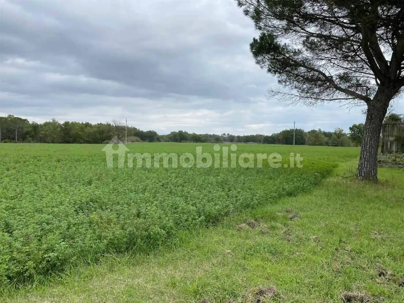 Rustico - Casale in vendita a Castiglione del Lago