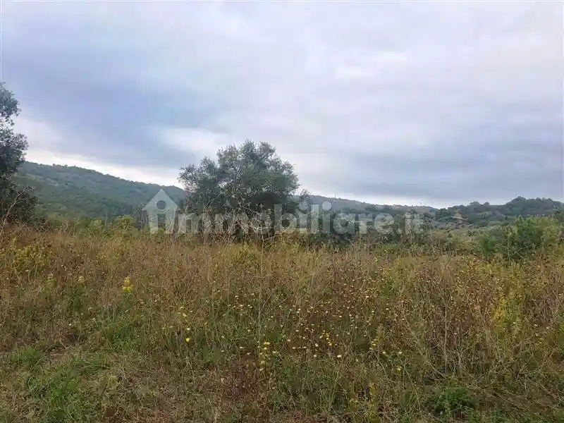 Rustico - Casale in vendita a Scansano