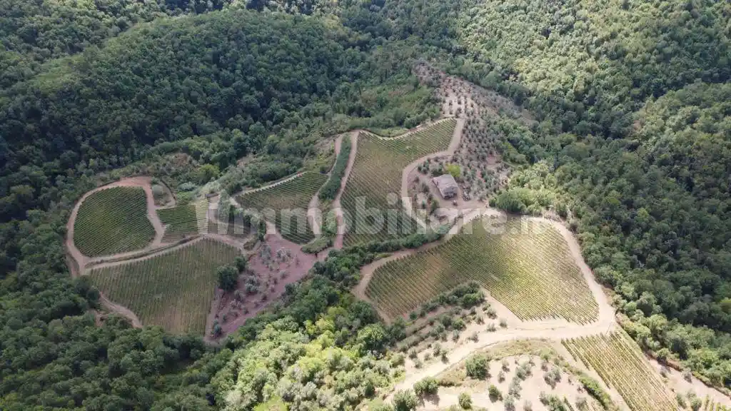 Rustico - Casale in vendita a Gaiole in Chianti