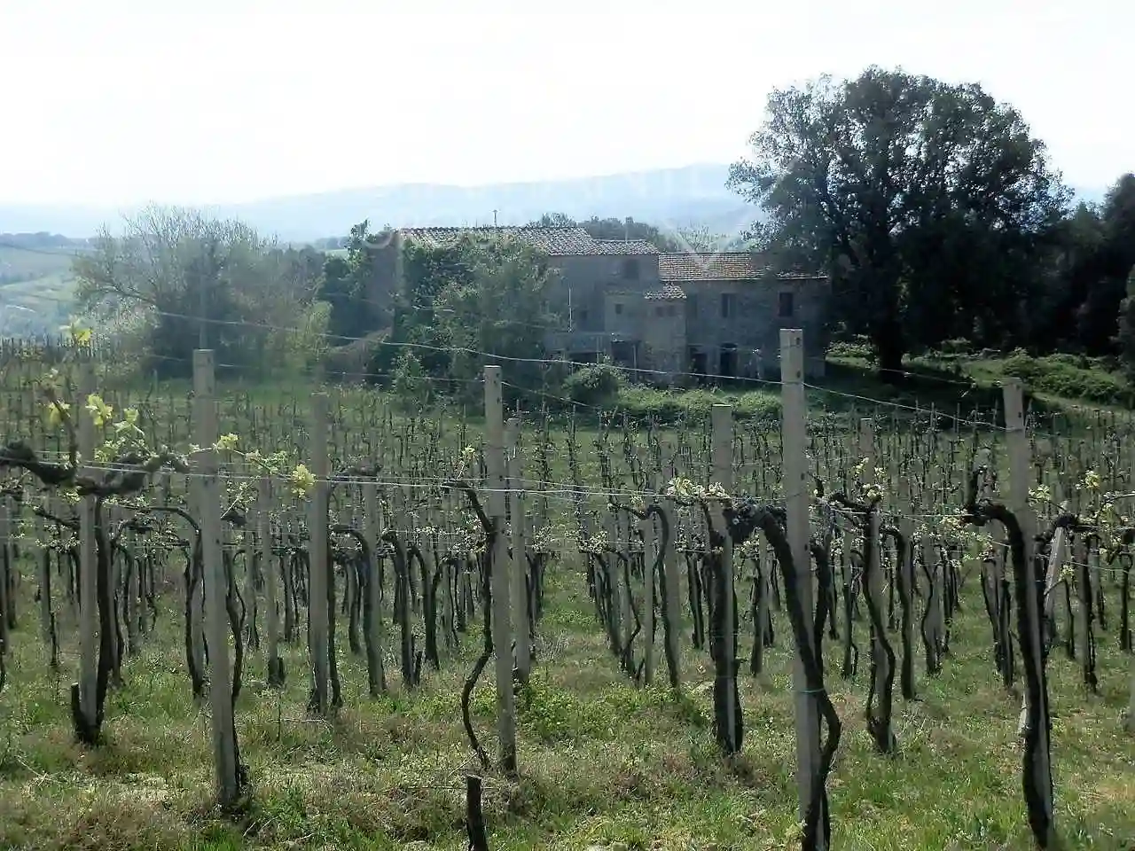 Rustico - Casale - foto 2
