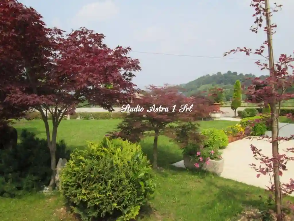 Palazzo - Edificio - foto 3