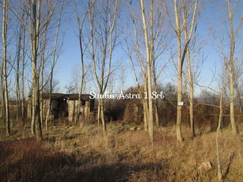 Rustico - Casale in vendita a Fonte