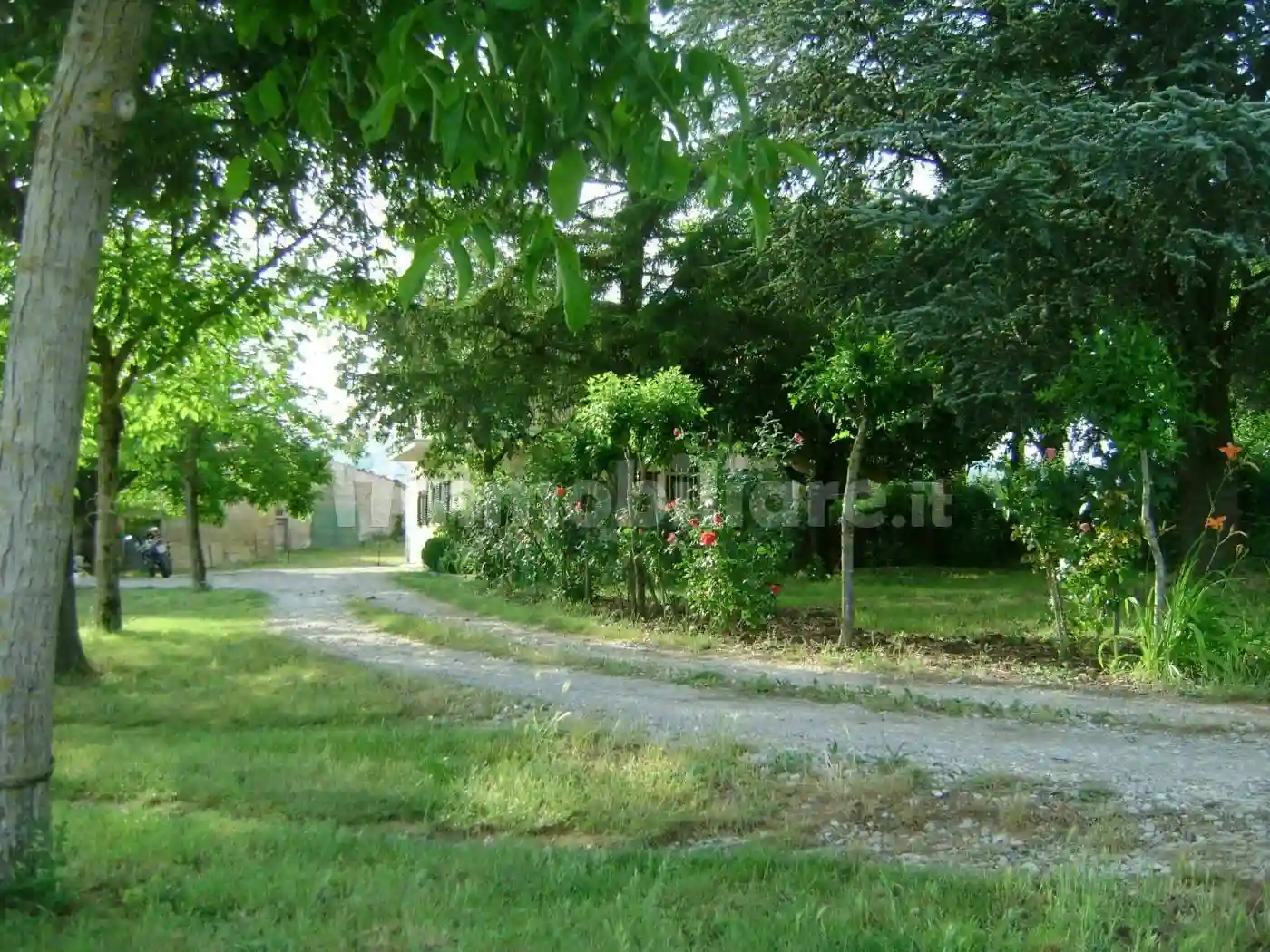 Palazzo - Edificio - foto 2