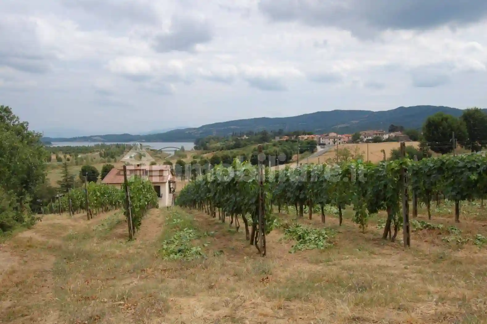 Palazzo - Edificio - foto 3