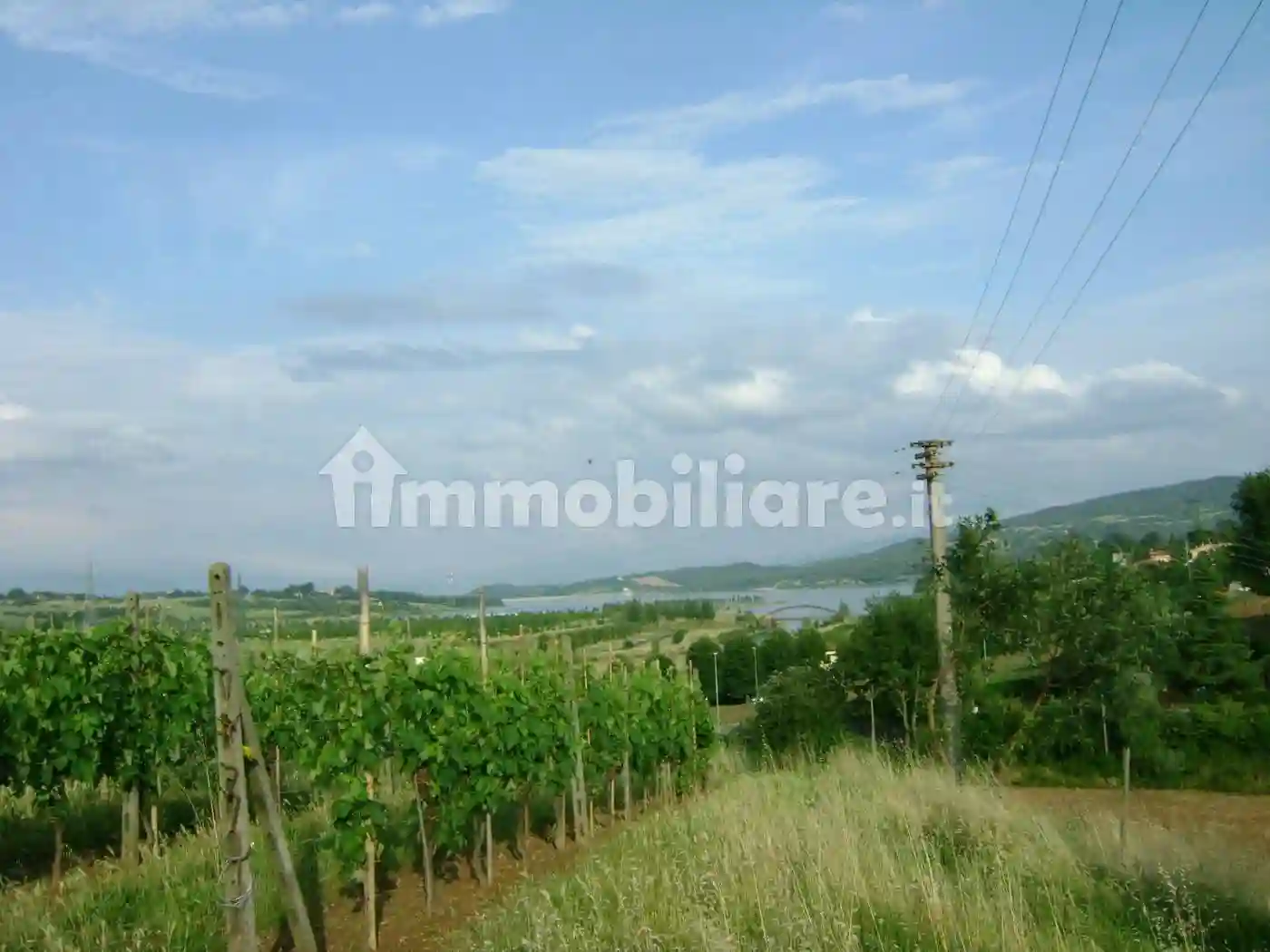 Palazzo - Edificio - foto 4