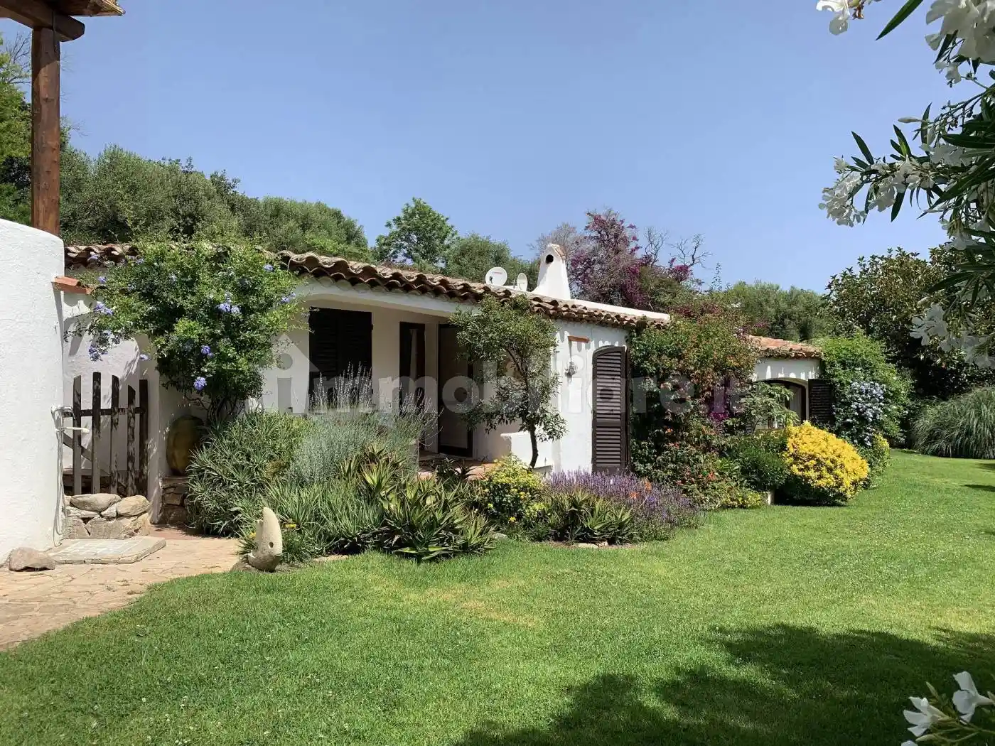 Villa in affitto a Olbia