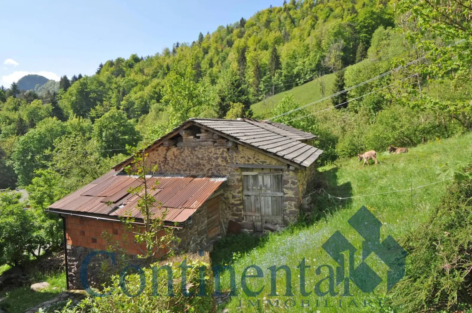 Rustico - Casale in vendita a Cusio