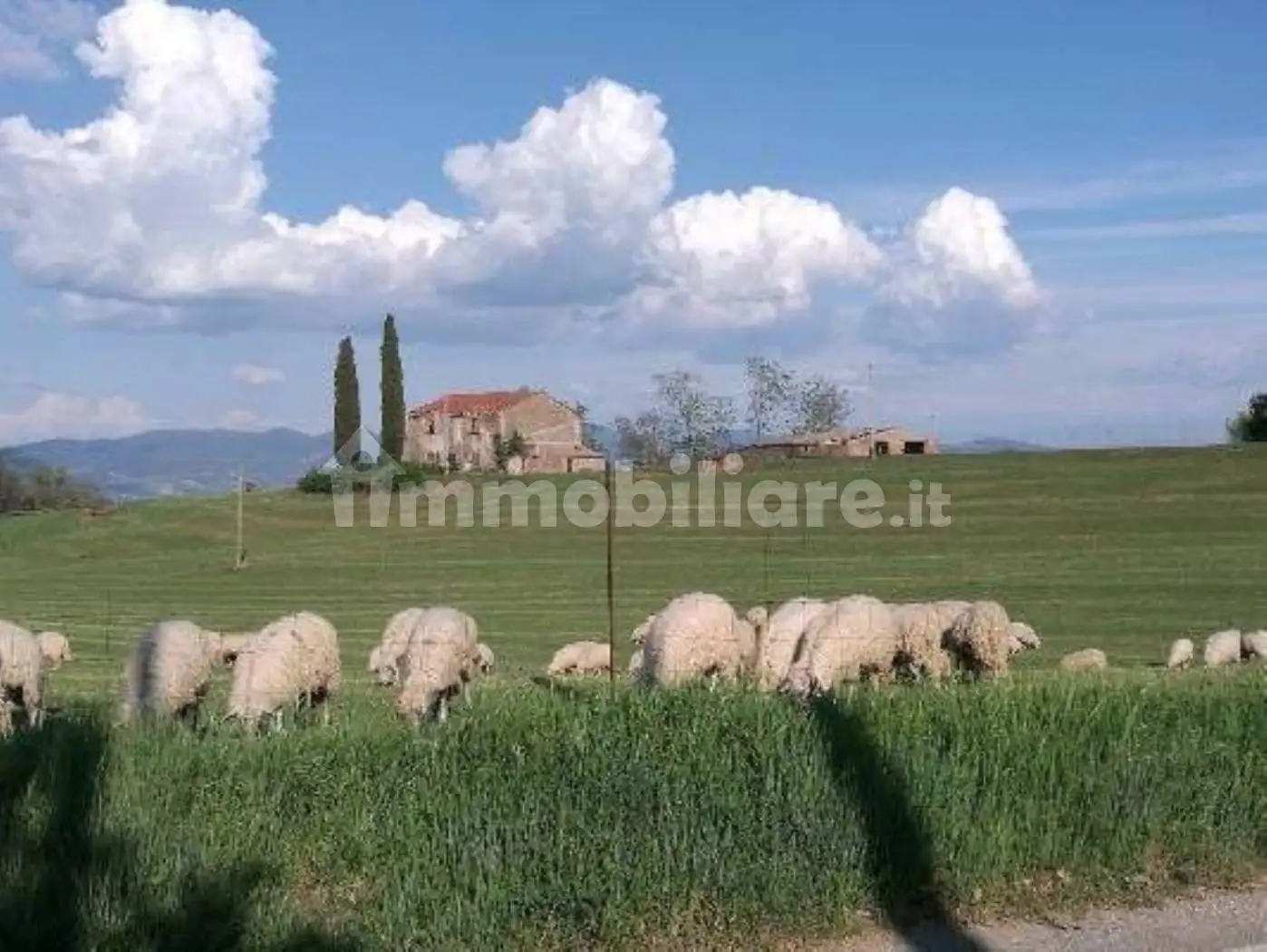Rustico - Casale in vendita a Lubriano
