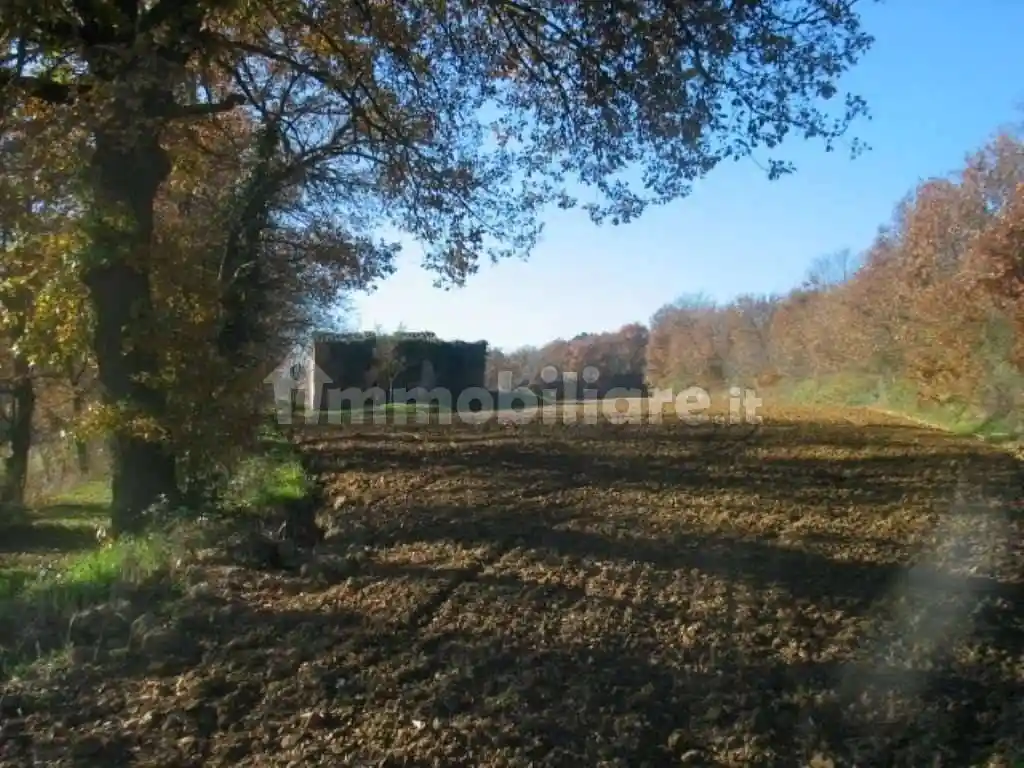 Rustico - Casale in vendita a Lucignano