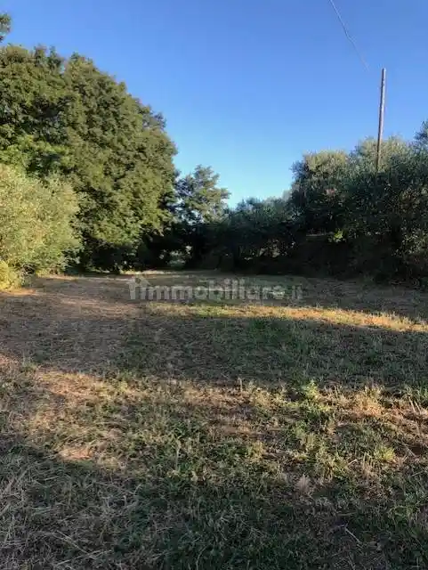 Rustico - Casale in vendita a Fucecchio