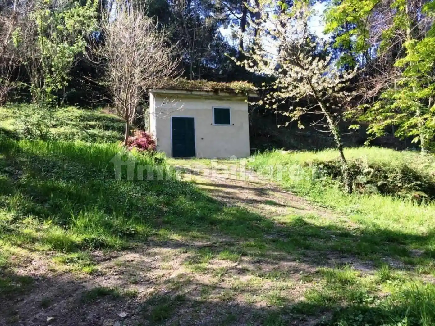 Appartamento in vendita a Castelnuovo Magra