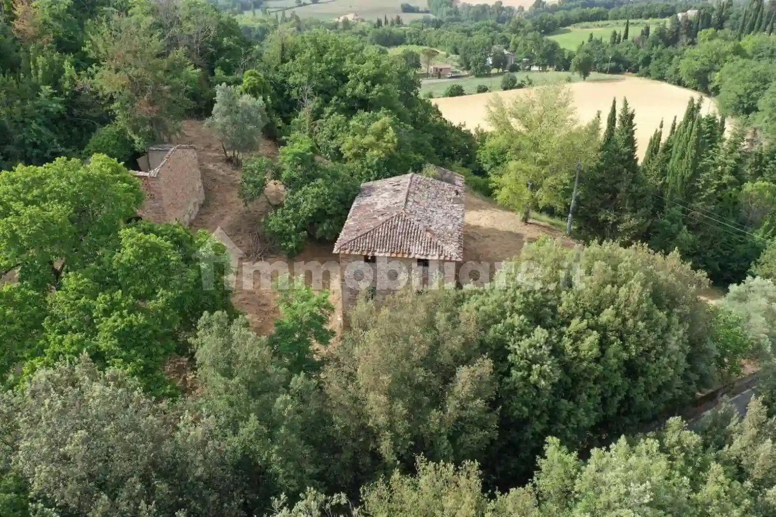 Rustico - Casale - foto 5