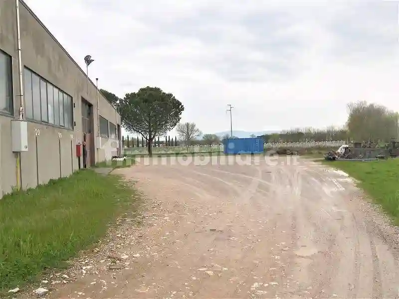 Palazzo - Edificio - foto 2