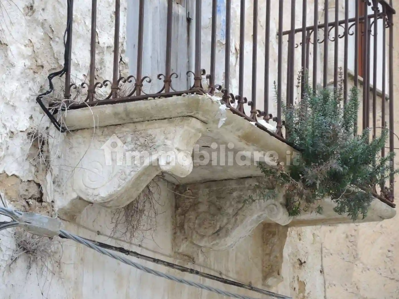 Palazzo - Edificio - foto 3