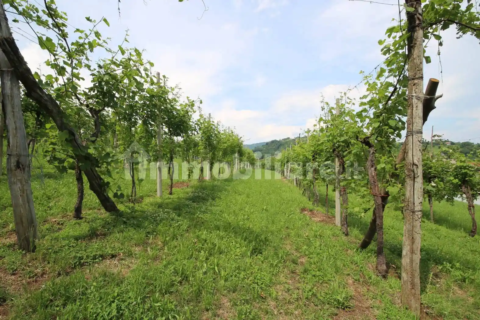 Casa colonica via Lavarda 15, Fara Vicentino - foto 3