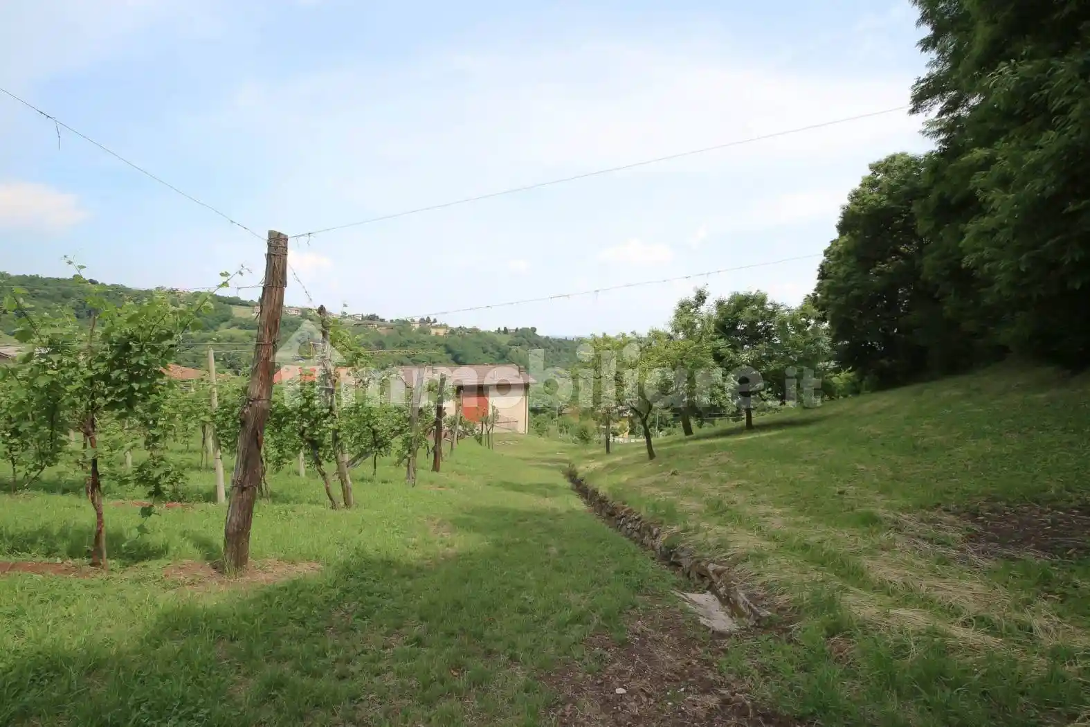 Casa colonica via Lavarda 15, Fara Vicentino - foto 4