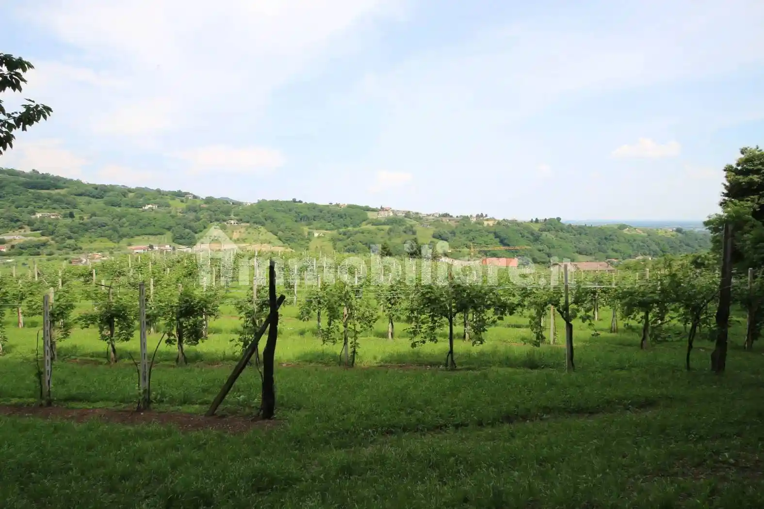 Casa colonica via Lavarda 15, Fara Vicentino - foto 5