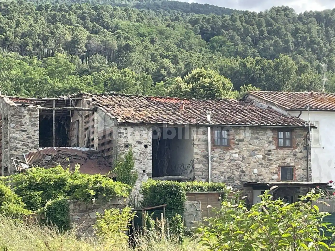 Rustico - Casale in vendita a Capannori