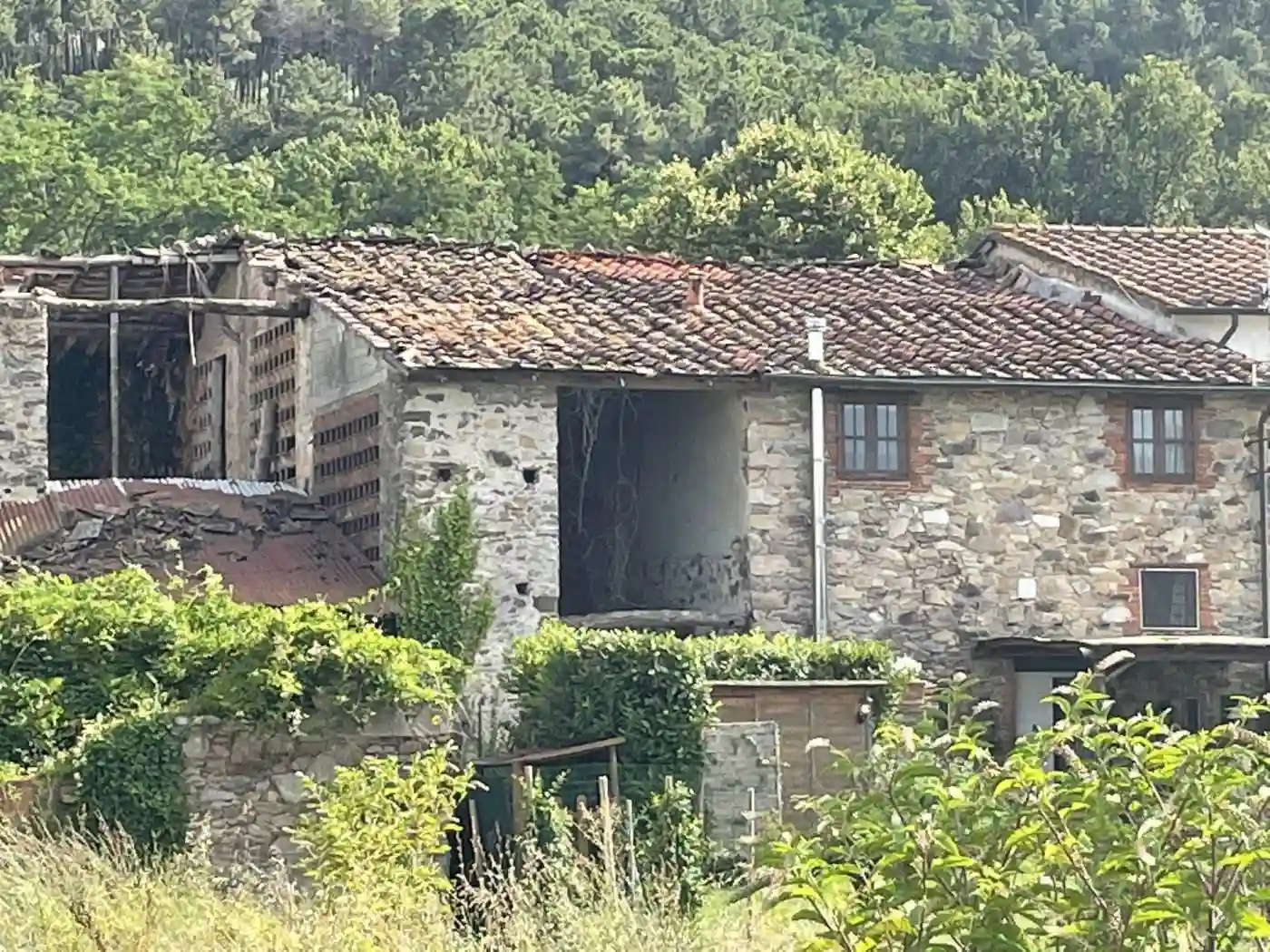 Rustico - Casale - foto 3