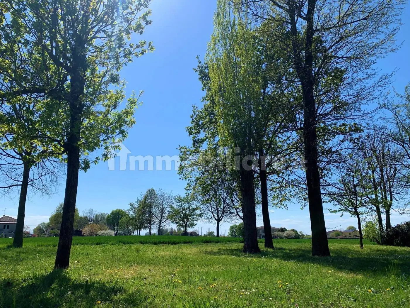 Villa in vendita a Cento