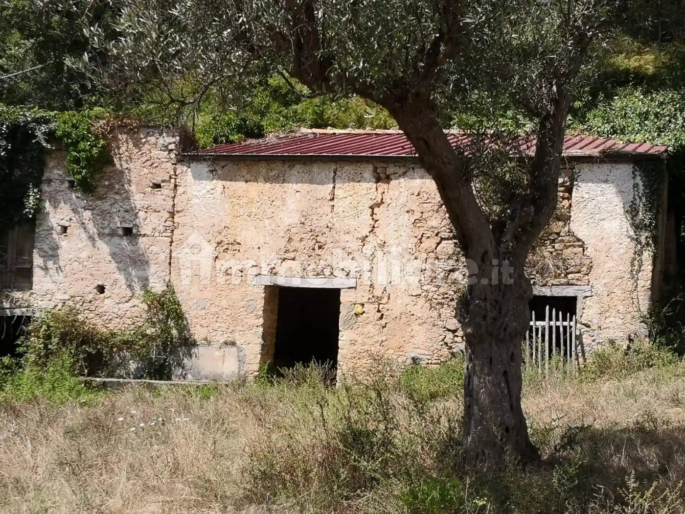 Villa unifamiliare, da ristrutturare, 88390 m², Altilia - foto 2