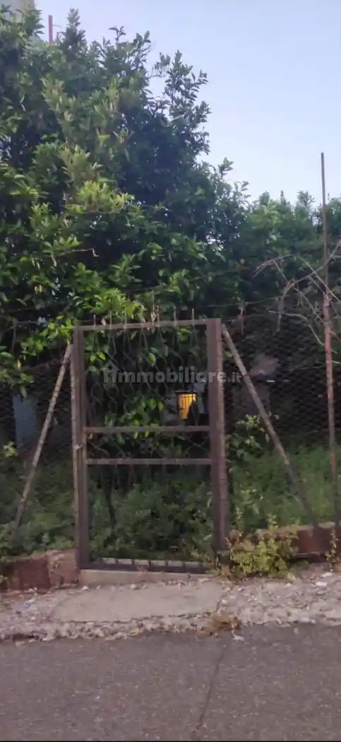 Casale via Vittorio Emanuele II, Ceramida Pellegrina, Bagnara Calabra - foto 2