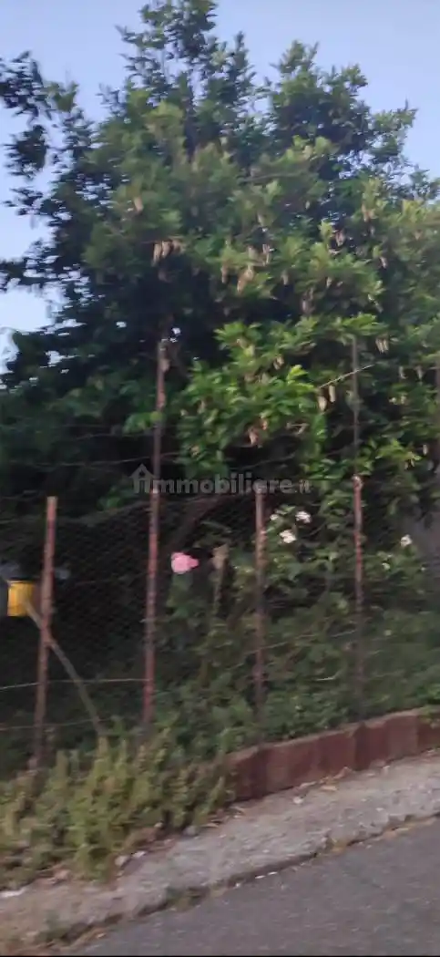 Casale via Vittorio Emanuele II, Ceramida Pellegrina, Bagnara Calabra - foto 3