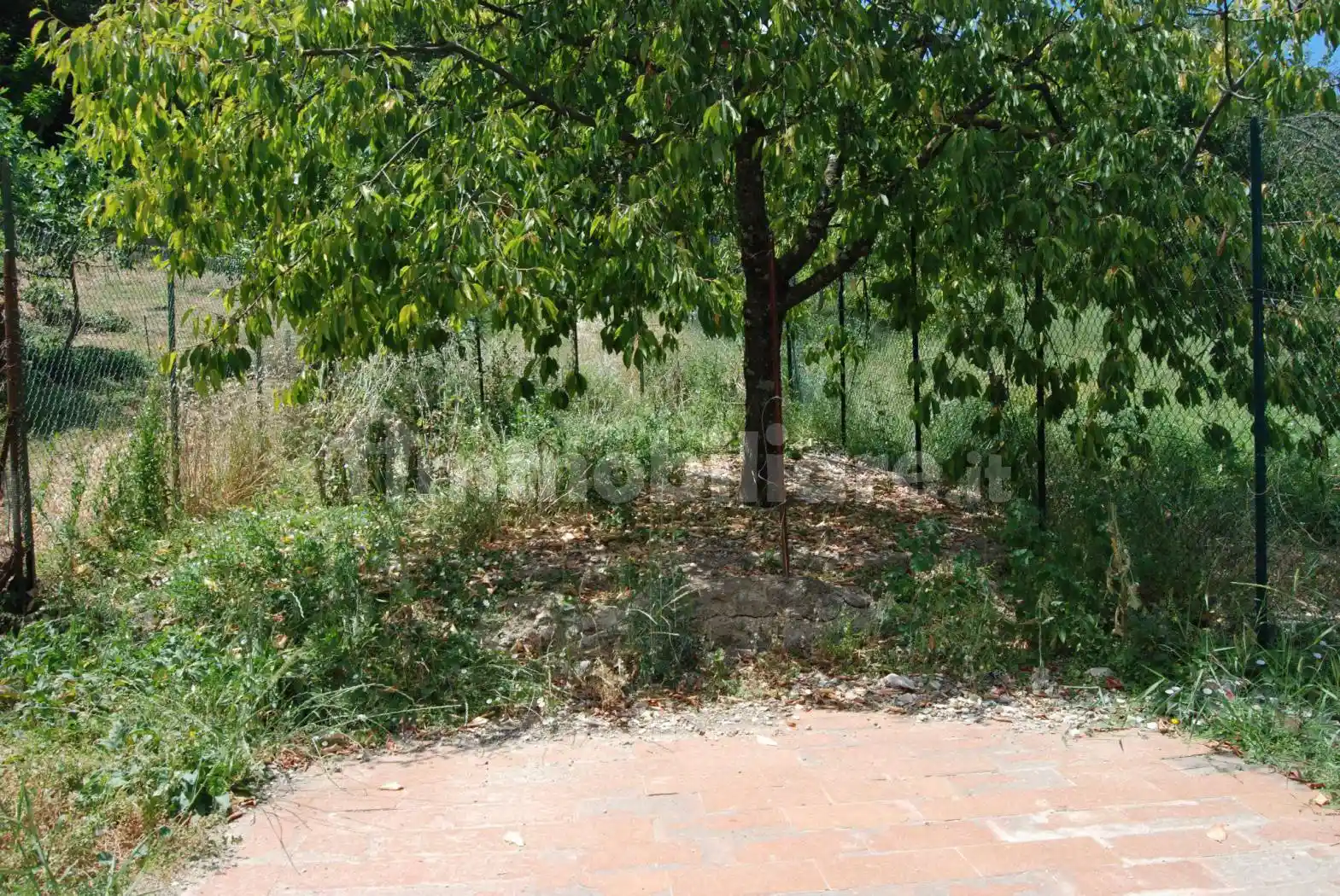 Appartamento in vendita a Greve in Chianti