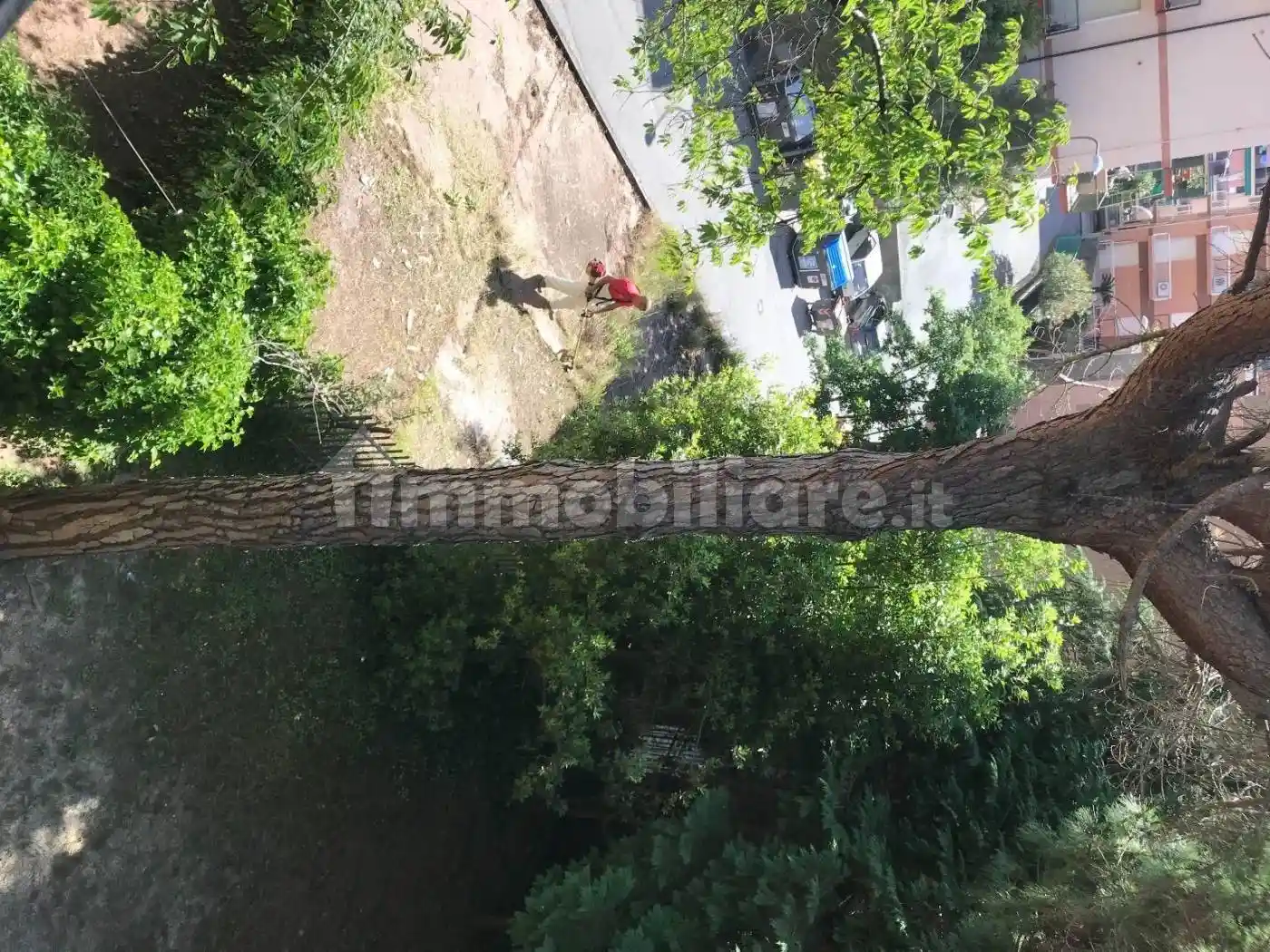 Appartamento in vendita a Varazze