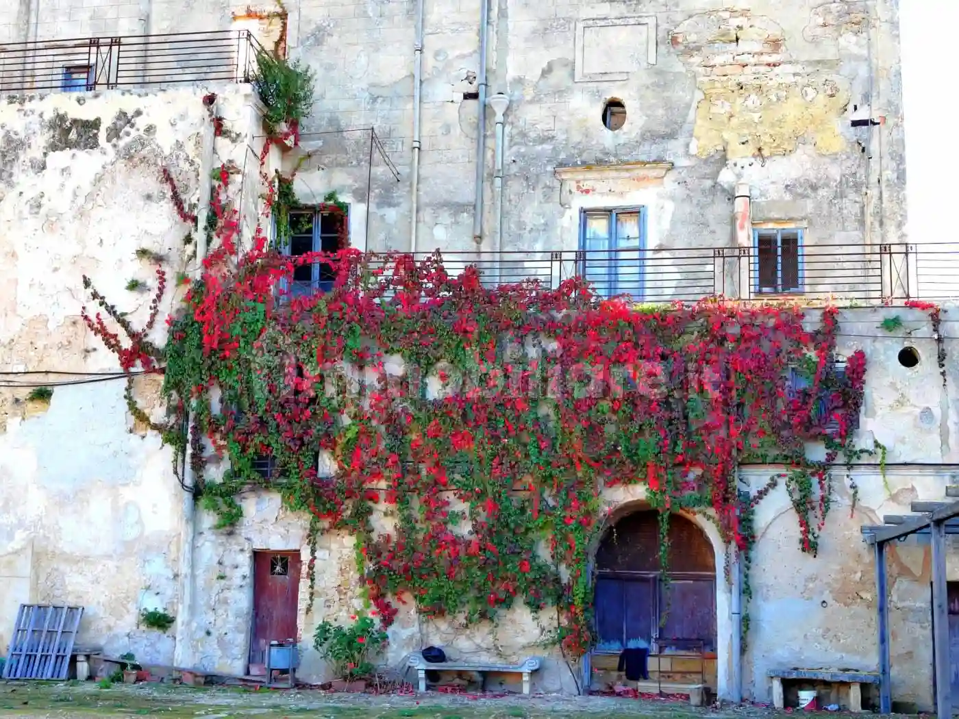 Rustico - Casale - foto 4