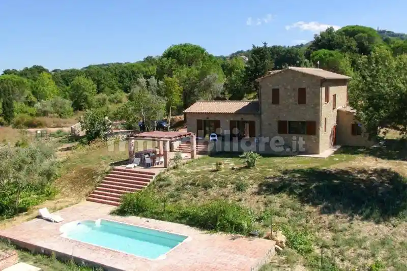 Rustico - Casale in vendita a Montescudaio