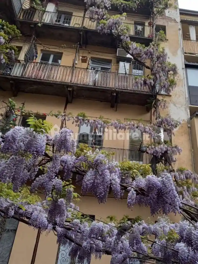 Appartamento in affitto a Torino