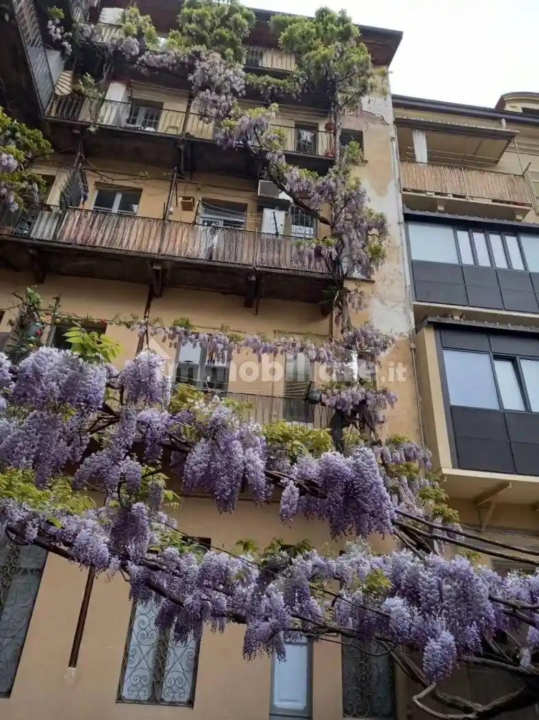 Appartamento in affitto a Torino