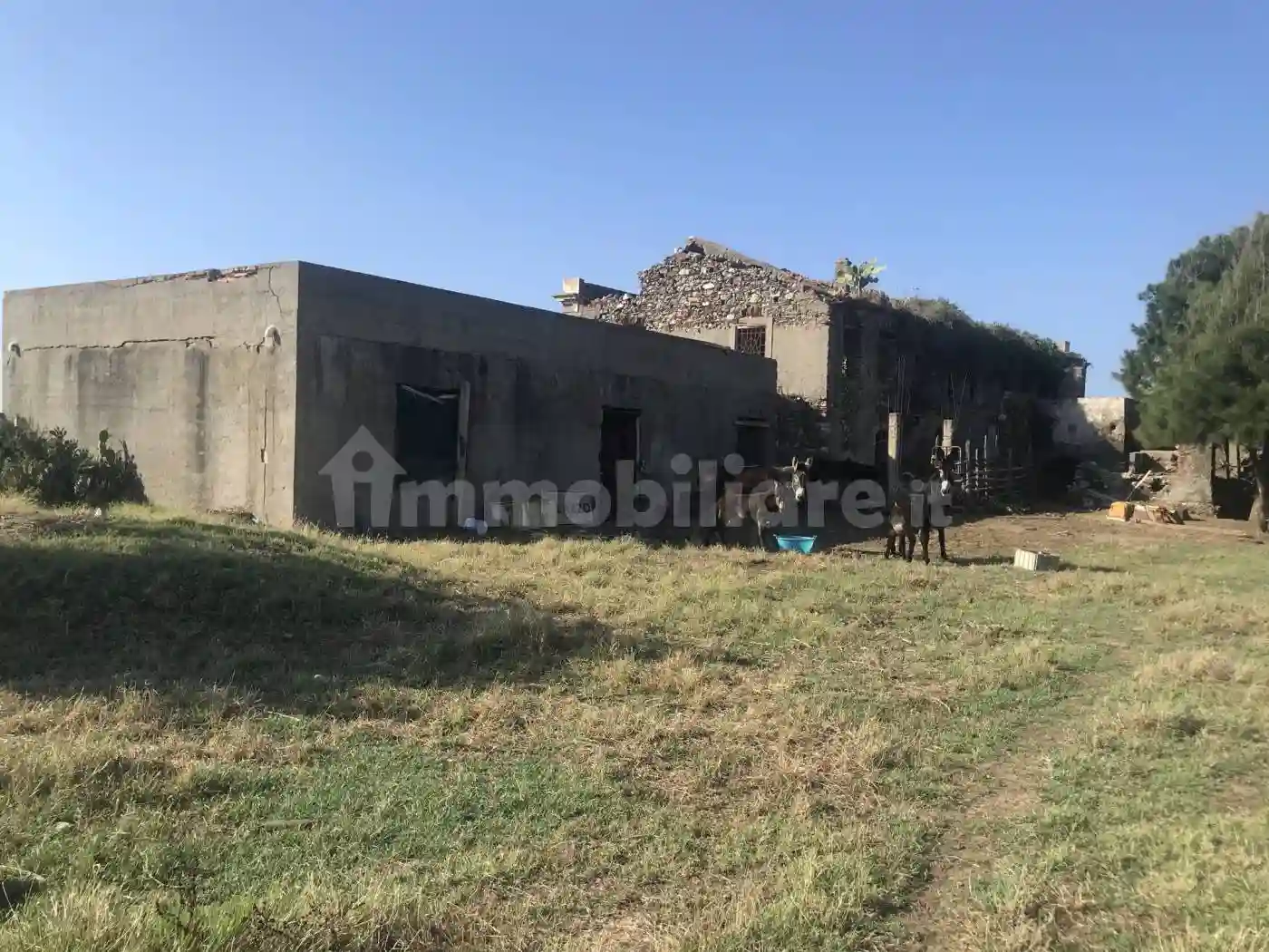 Palazzo - Edificio - foto 4