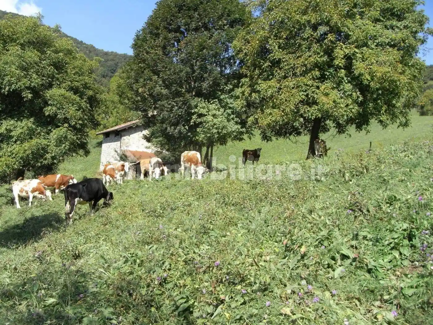 Rustico - Casale in vendita a Val Brembilla