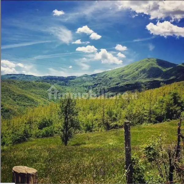 Appartamento in vendita a Tornolo