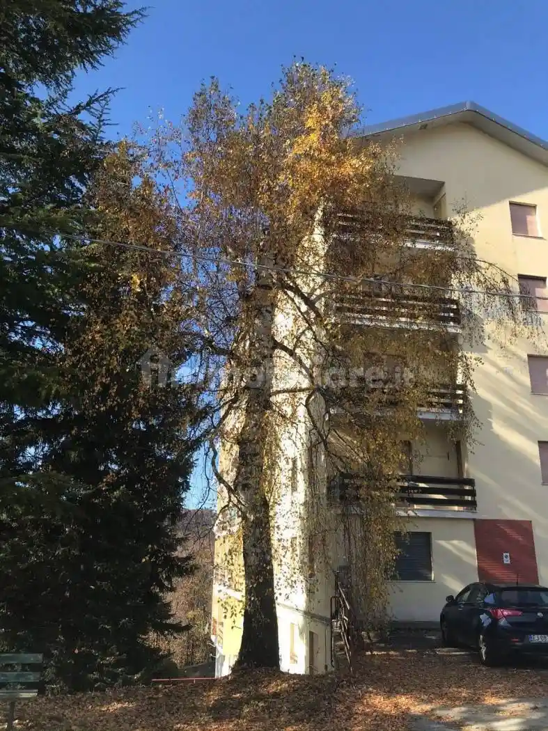 Appartamento in vendita a Pamparato