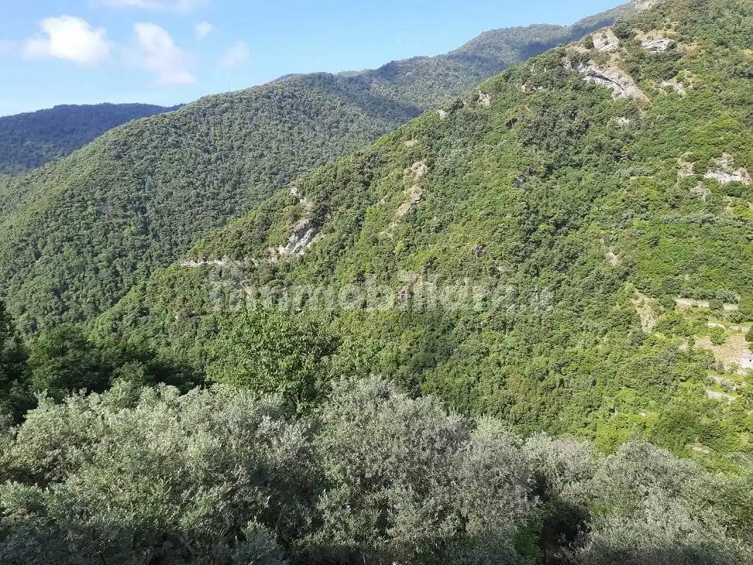 Villa in vendita a Avegno