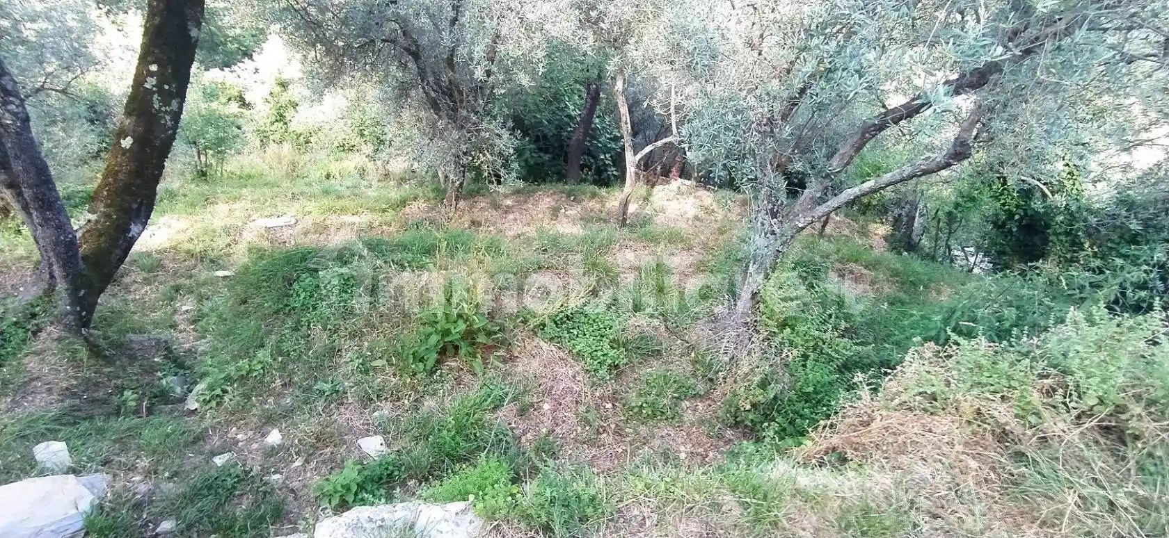 Villa in vendita a Avegno