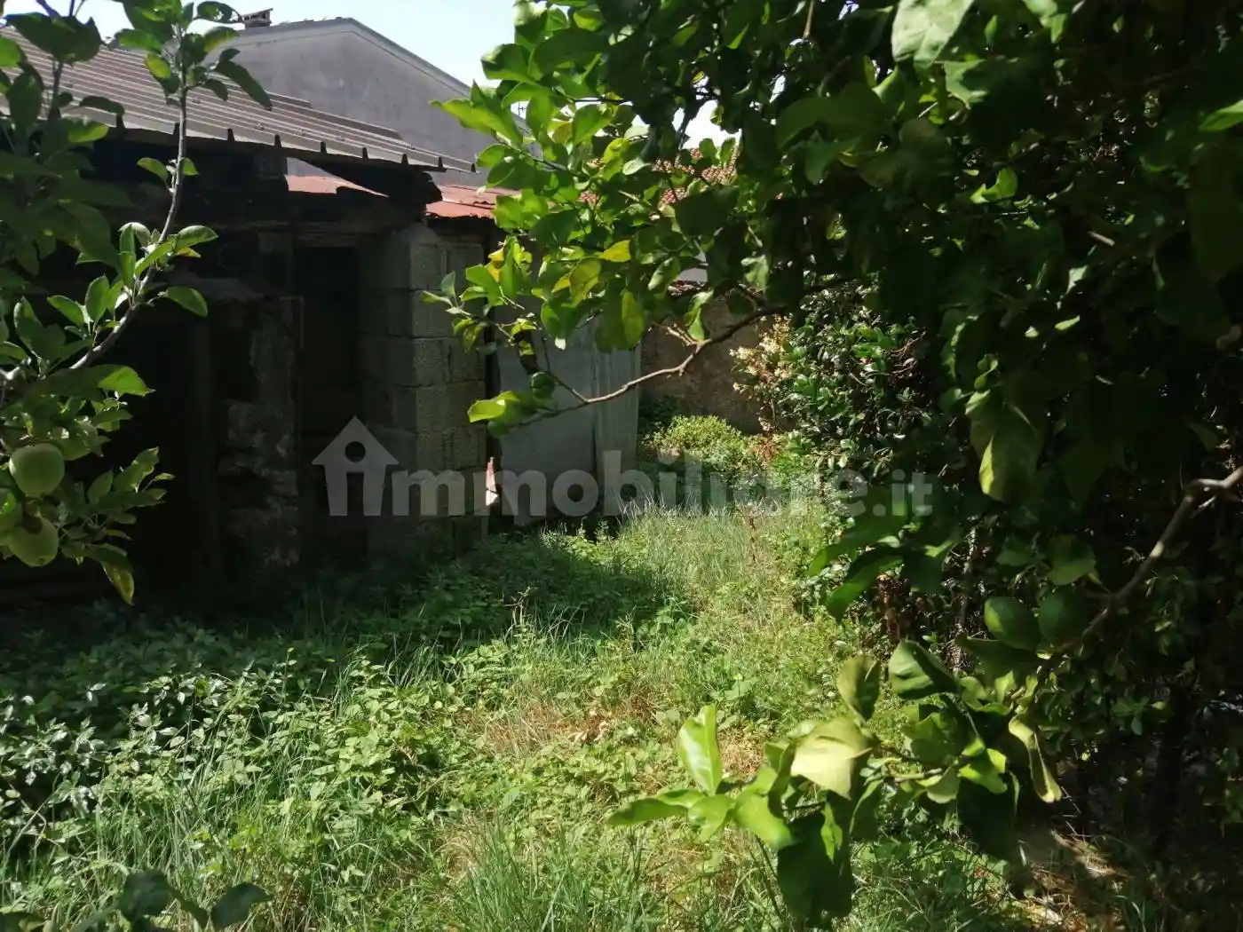 Appartamento via Fontana, Centro, Lauria - foto 3