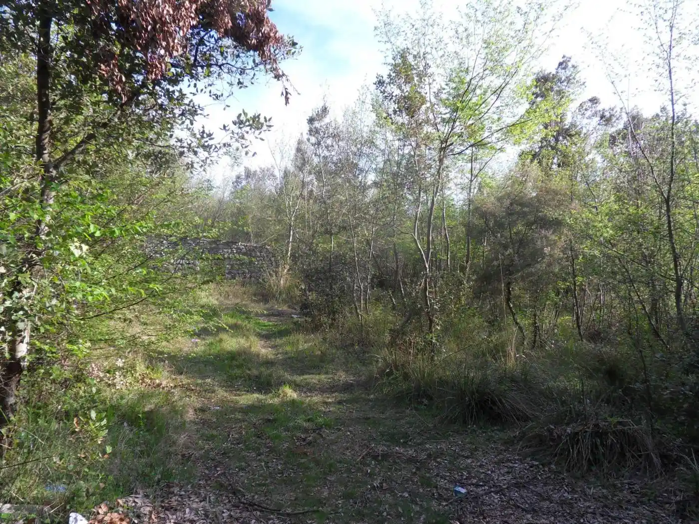 Casale, da ristrutturare, 100 m², Maratea - foto 2