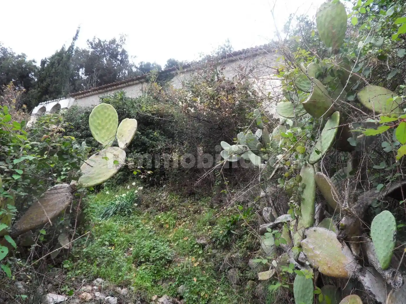 Casale Ss18, Centro, Maratea - foto 3