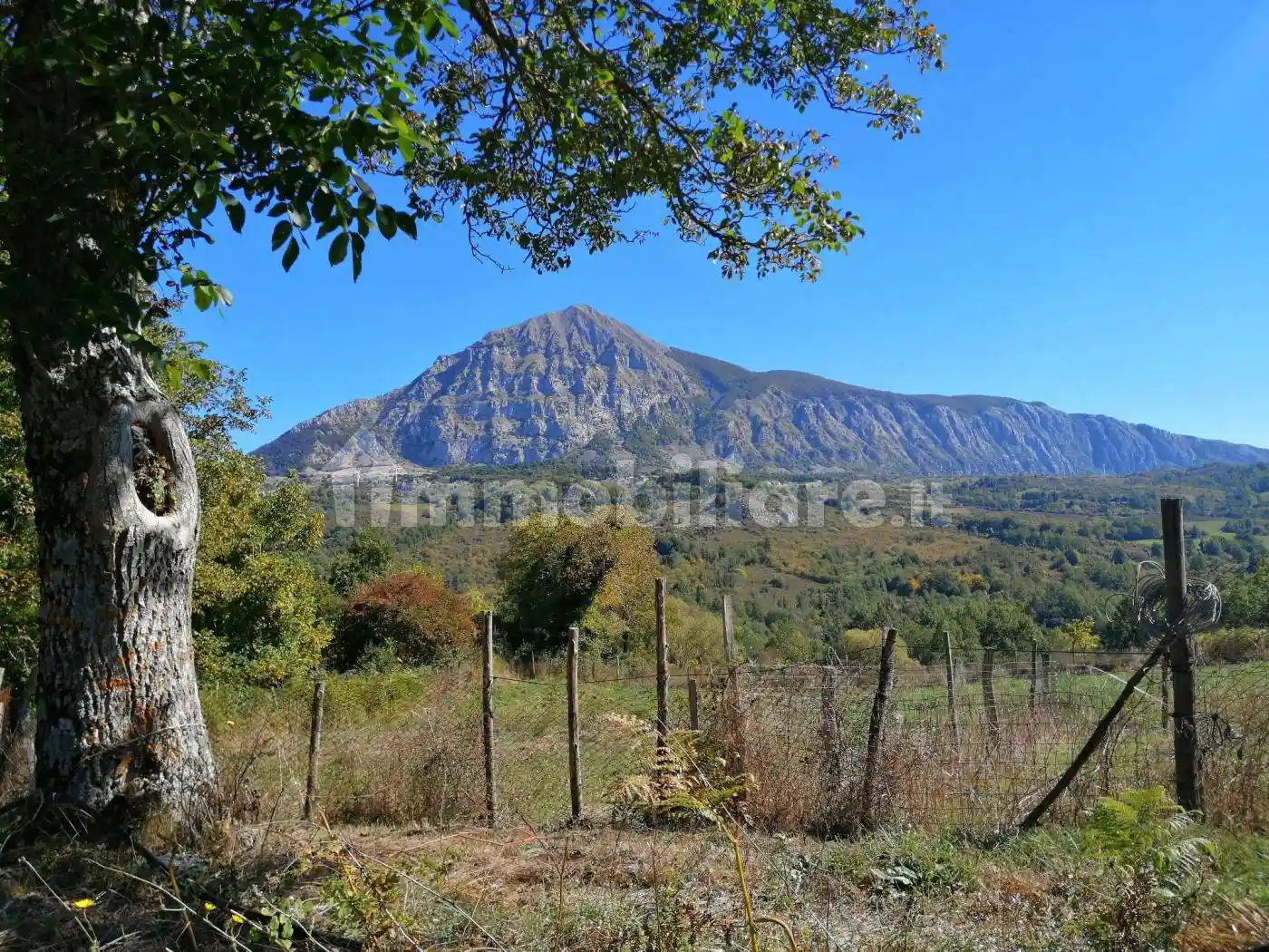 Cascina Contrada Mazzarella, Lauria - foto 2